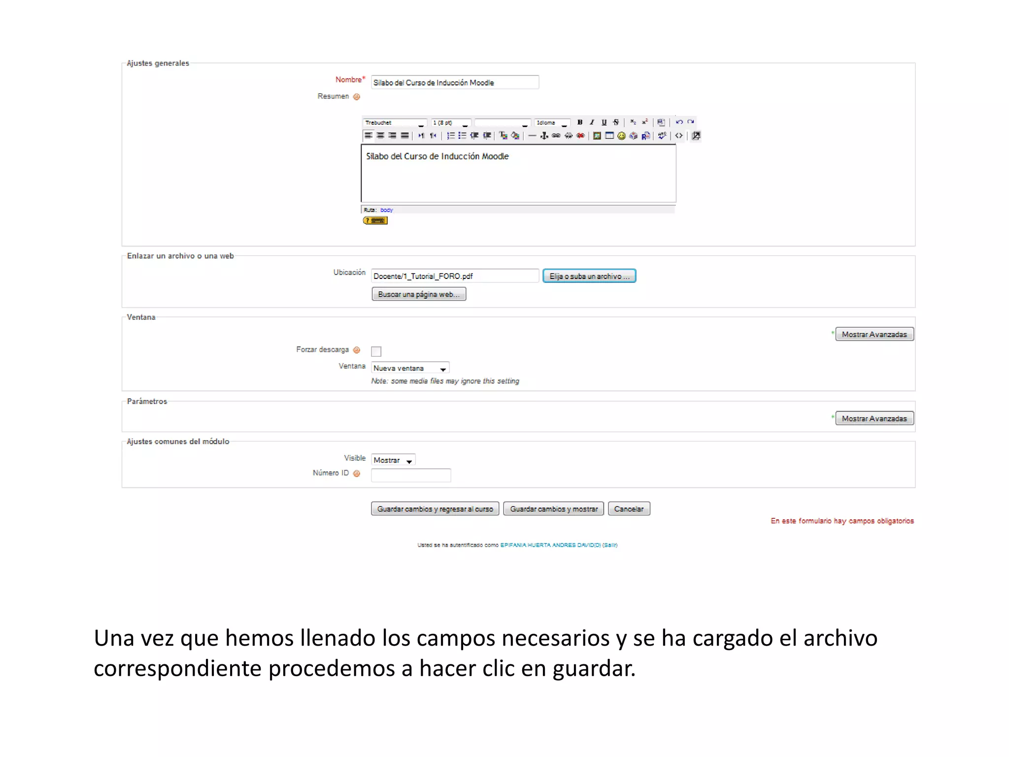 Una vez que hemos llenado los campos necesarios y se ha cargado el archivo
correspondiente procedemos a hacer clic en guardar.
 