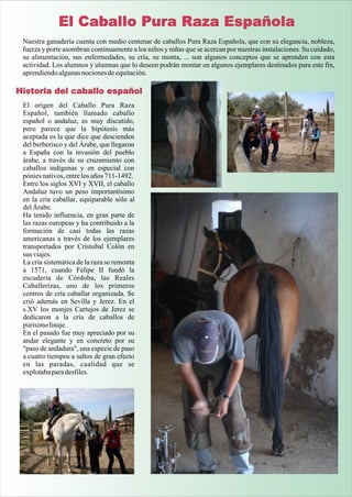El Caballo Pura Raza Española
 Nuestra ganadería cuenta con medio centenar de caballos Pura Raza Española, que con su elegancia, nobleza,
 fuerza y porte asombran continuamente a los niños y niñas que se acercan por nuestras instalaciones. Su cuidado,
 su alimentación, sus enfermedades, su cría, su monta, ... son algunos conceptos que se aprenden con esta
 actividad. Los alumnos y alumnas que lo deseen podrán montar en algunos ejemplares destinados para este fin,
 aprendiendo algunas nociones de equitación.

Historia del caballo español
 El origen del Caballo Pura Raza
 Español, también llamado caballo
 español o andaluz, es muy discutido,
 pero parece que la hipótesis más
 aceptada es la que dice que descienden
 del berberisco y del Árabe, que llegaron
 a España con la invasión del pueblo
 árabe, a través de su cruzamiento con
 caballos indígenas y en especial con
 pónies nativos, entre los años 711-1492.
 Entre los siglos XVI y XVII, el caballo
 Andaluz tuvo un peso importantísimo
 en la cría caballar, equiparable sólo al
 del Árabe.
 Ha tenido influencia, en gran parte de
 las razas europeas y ha contribuido a la
 formación de casi todas las razas
 americanas a través de los ejemplares
 transportados por Cristobal Colón en
 sus viajes.
 La cría sistemática de la raza se remonta
 a 1571, cuando Felipe II fundó la
 escudería de Córdoba, las Reales
 Caballerizas, uno de los primeros
 centros de cría caballar organizada. Se
 crió además en Sevilla y Jerez. En el
 s.XV los monjes Cartujos de Jerez se
 dedicaron a la cría de caballos de
 purísimo linaje.
 En el pasado fue muy apreciado por su
 andar elegante y en concreto por su
 "paso de andadura", una especie de paso
 a cuatro tiempos a saltos de gran efecto
 en las paradas, cualidad que se
 explotaba para desfiles.
 