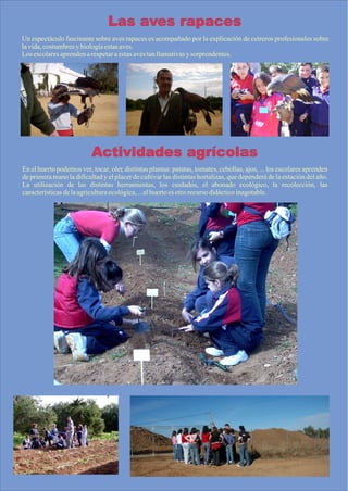 Las aves rapaces
Un espectáculo fascinante sobre aves rapaces es acompañado por la explicación de cetreros profesionales sobre
la vida, costumbres y biología estas aves.
Los escolares aprenden a respetar a estas aves tan llamativas y sorprendentes.




                          Actividades agrícolas
En el huerto podemos ver, tocar, oler, distintas plantas: patatas, tomates, cebollas, ajos, ... los escolares aprenden
de primera mano la dificultad y el placer de cultivar las distintas hortalizas, que dependerá de la estación del año.
La utilización de las distintas herramientas, los cuidados, el abonado ecológico, la recolección, las
características de la agricultura ecológica, ...el huerto es otro recurso didáctico inagotable.
 