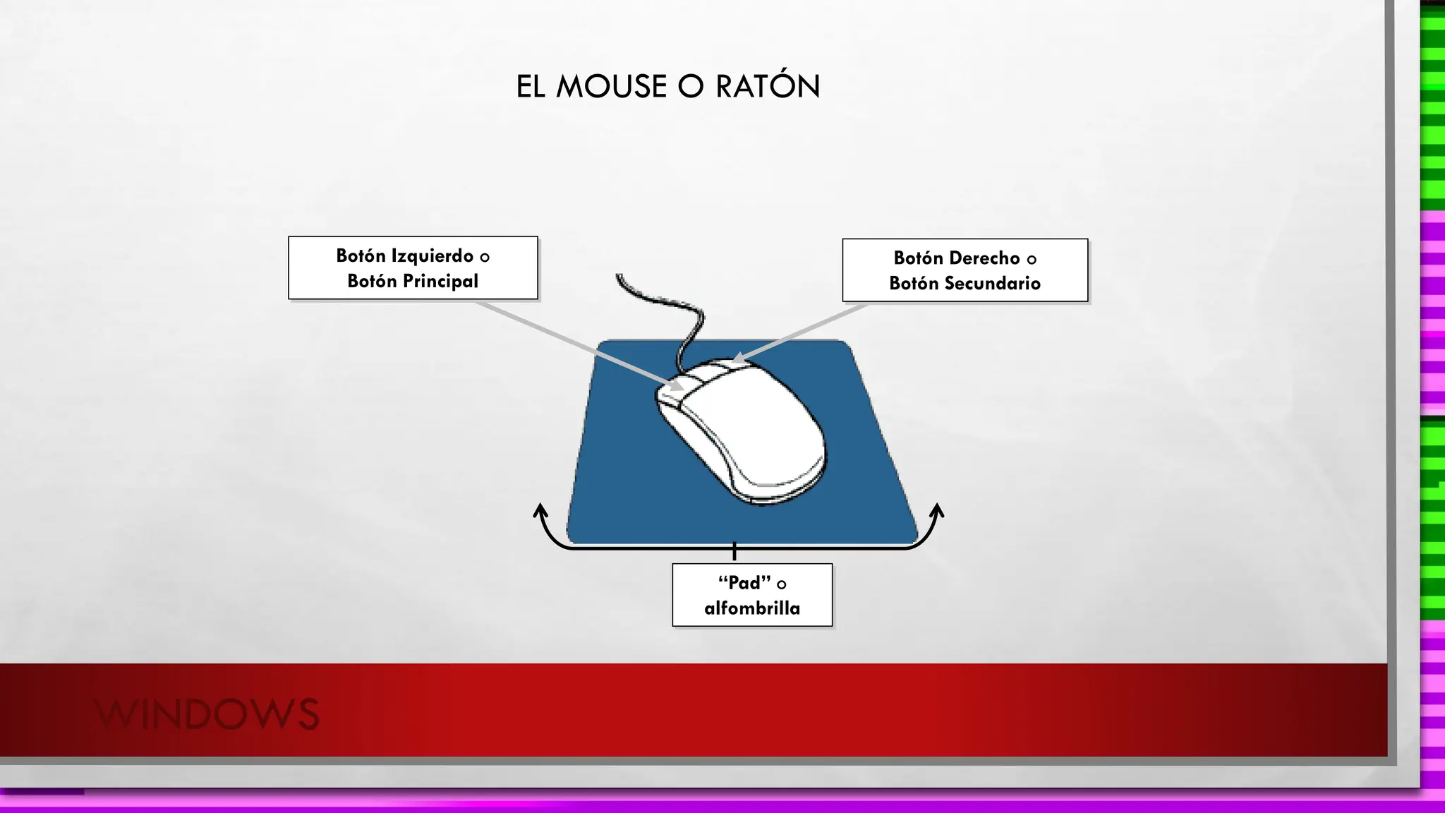 WINDOWS
“Pad” o
alfombrilla
Botón Derecho o
Botón Secundario
Botón Izquierdo o
Botón Principal
EL MOUSE O RATÓN
 