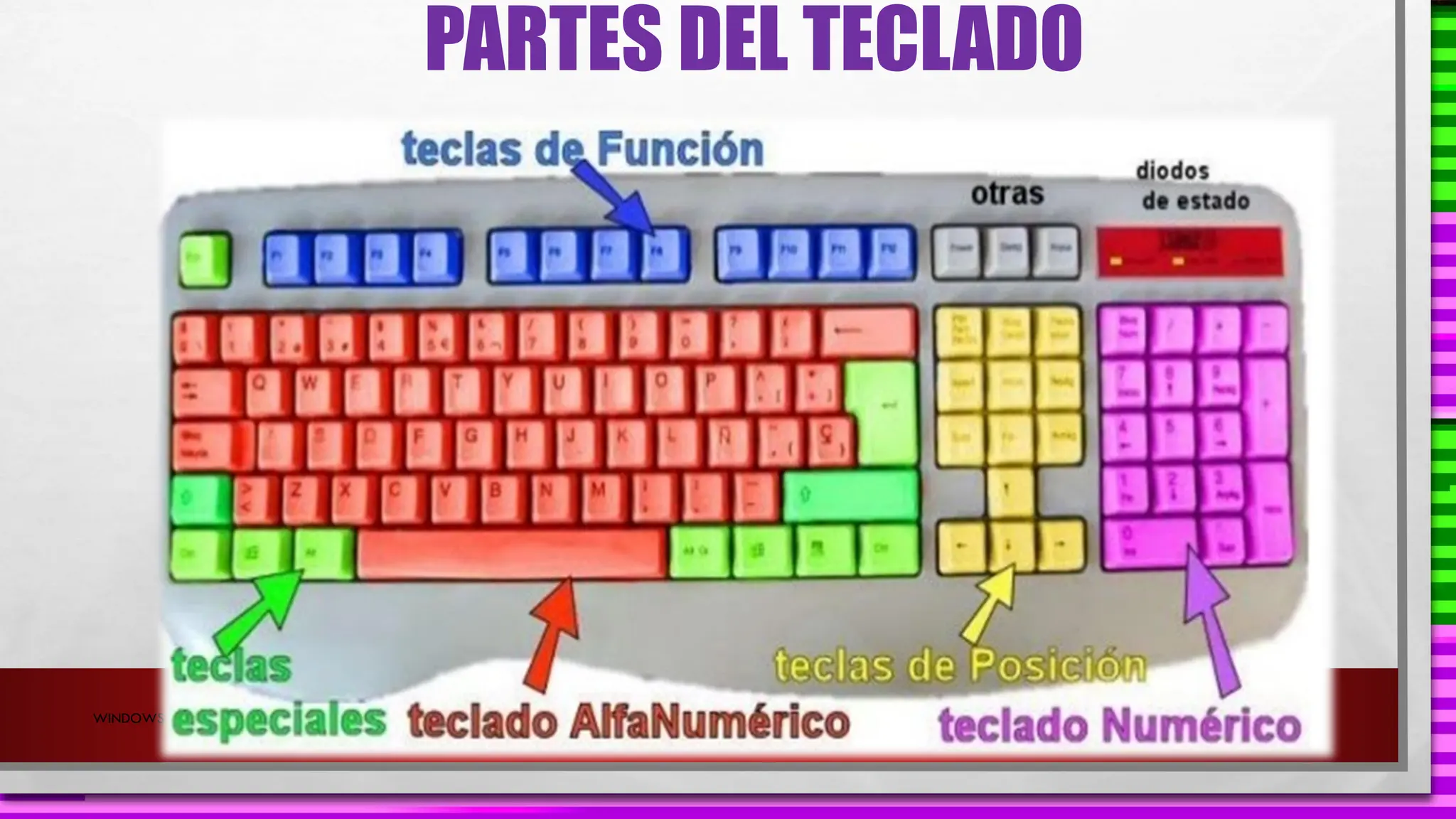 WINDOWS
PARTES DEL TECLADO
 