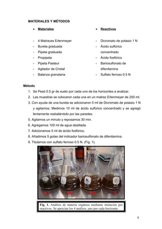 MATERIALES Y MÉTODOS
• Materiales
- 4 Matraces Erlenmeyer
- Bureta graduada
- Pipeta graduada
- Propipeta
- Pipeta Pasteur
- Agitador de Cristal
- Balanza granataria
• Reactivos
- Dicromato de potasio 1 N
- Ácido sulfúrico
concentrado
- Ácido fosfórico
- Bariosulfonato de
difenilamina
- Sulfato ferroso 0.5 N
Método
1. Se Pesó 0.5 gr de suelo por cada uno de los horizontes a analizar.
2. Las muestras se colocaron cada una en un matraz Erlenmeyer de 250 ml.
3. Con ayuda de una bureta se adicionaron 5 ml de Dicromato de potasio 1 N
y agitamos; Medimos 10 ml de ácido sulfúrico concentrado y se agregó
lentamente resbalándolo por las paredes.
5. Agitamos un minuto y reposamos 30 min.
6. Agregamos 100 ml de agua destilada.
7. Adicionamos 5 ml de ácido fosfórico.
8. Añadimos 5 gotas del indicador bariosulfonato de difenilamina.
9. Titulamos con sulfato ferroso 0.5 N. (Fig. 1).
8
Fig. 1. Análisis de materia orgánica mediante titulación por
reactivos. Se aprecian los 4 análisis, uno por cada horizonte.
 