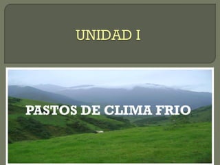 PASTOS DE CLIMA FRIO
 
