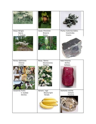 Oveja:Abrigos
Queso
C. Sudada
Cacao: Chocolate
Brownie
Dulces
Plomo:CubiertasCables
Insecticidas
Imanes
Perros:Salchichón
Chorizo
C. Frita
Rosas : Ramos
Decoraciones
Regalos
Rubí: Pulseras
Anillos
Collares
Serpiente:Pieles
C. Sudada
Dientes
Banano : Jugo
Banana Split
Helado
Diamante:Anillos
Collares
Pulseras
 