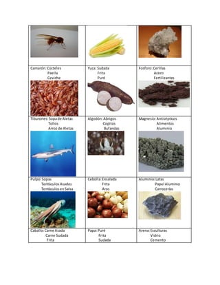 Camarón:Cocteles
Paella
Ceviche
Yuca: Sudada
Frita
Puré
Fosforo:Cerillas
Acero
Fertilizantes
Tiburones:Sopade Aletas
Tollos
Arroz de Aletas
Algodón:Abrigos
Copitos
Bufandas
Magnesio:Antisépticos
Alimentos
Aluminio
Pulpo:Sopas
Tentáculos Asados
TentáculosenSalsa
Cebolla:Ensalada
Frita
Aros
Aluminio:Latas
Papel Aluminio
Carrocerías
Caballo:Carne Asada
Carne Sudada
Frita
Papa: Puré
Frita
Sudada
Arena:Esculturas
Vidrio
Cemento
 