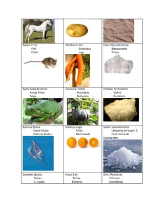 Ratón: Frito
Piel
Caldo
Zanahoria:Pie
Ensaladas
Jugo
Cloro:Desinfectante
Blanqueador
Tintes
Sapo:Sopa de Ancas
Ancas Fritas
Sopa
Calabaza:Tortas
Ensaladas
Buñuelos
Potasio:Fertilizante
Vidrio
Cerámica
Ballena:Grasa
Carne Asada
Caldode Aletas
Naranja:Jugo
Torta
Mermelada
Sodio:Desodorantes
Lámparas de Vapor.S.
Desecaciónde
Disolventes
Cordero:Queso
Pieles
C. Asada
Nuez:Pan
Tortas
Brownie
Zinc:Medicinas
Pinturas
Cosméticos
 