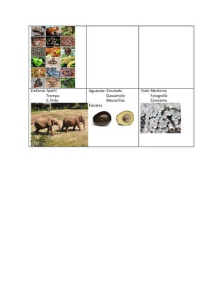 Elefante:Marfil
Trompa
C. Frita
Aguacate : Ensalada
Guacamole
Mascarillas
Faciales
Yodo: Medicina
Fotografía
Colorante
 