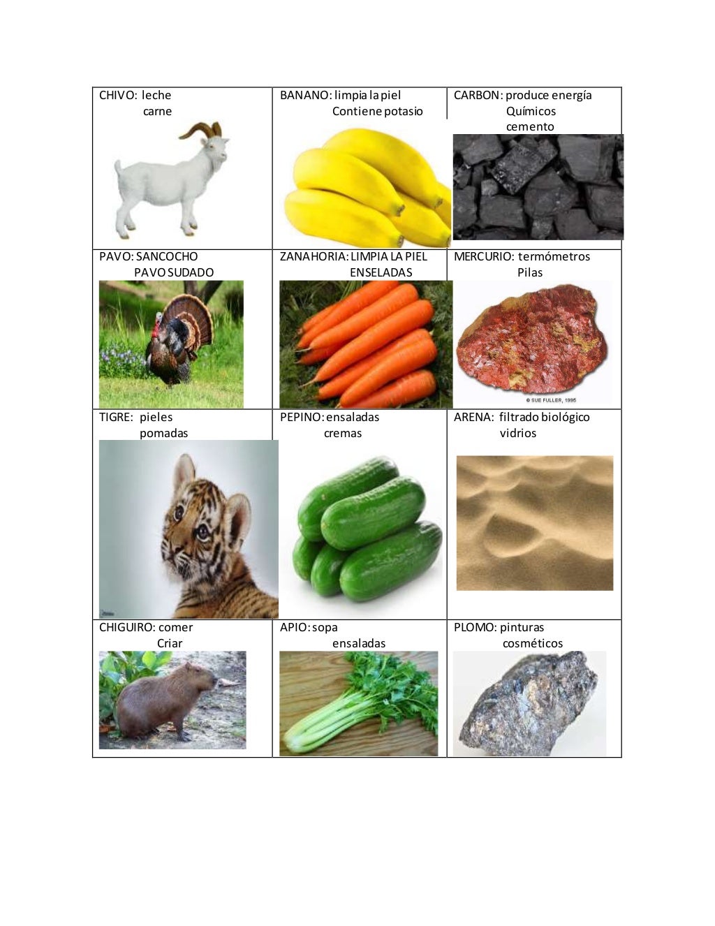 Exemplos De Matéria-prima Animal - NAZAEDU