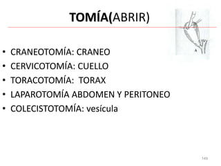 149
TOMÍA(ABRIR)
• CRANEOTOMÍA: CRANEO
• CERVICOTOMÍA: CUELLO
• TORACOTOMÍA: TORAX
• LAPAROTOMÍA ABDOMEN Y PERITONEO
• COLECISTOTOMÍA: vesícula
 