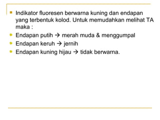  Indikator fluoresen berwarna kuning dan endapan
yang terbentuk kolod. Untuk memudahkan melihat TA
maka :
Endapan putih  merah muda & menggumpal
Endapan keruh  jernih
Endapan kuning hijau  tidak berwarna.
 