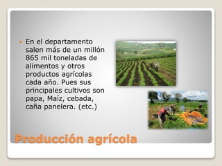Producción agrícola
 En el departamento
salen más de un millón
865 mil toneladas de
alimentos y otros
productos agrícolas
cada año. Pues sus
principales cultivos son
papa, Maíz, cebada,
caña panelera. (etc.)
 