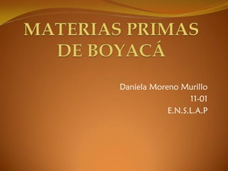 Daniela Moreno Murillo
11-01
E.N.S.L.A.P
 