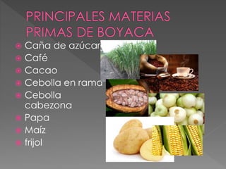  Caña de azúcar
 Café
 Cacao
 Cebolla en rama
 Cebolla
cabezona
 Papa
 Maíz
 frijol
 