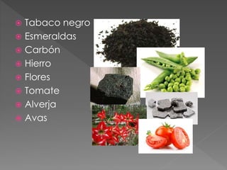  Tabaco negro
 Esmeraldas
 Carbón
 Hierro
 Flores
 Tomate
 Alverja
 Avas
 