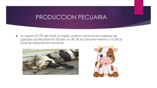 PRODUCCION PECUARIA
 Su aporto 37,7% del total, la región andina nacional de cabezas de
ganado sacrificadas en 2010en un 38,1% al consumo interno y 10,5% al
total de exportación nacional.
 
