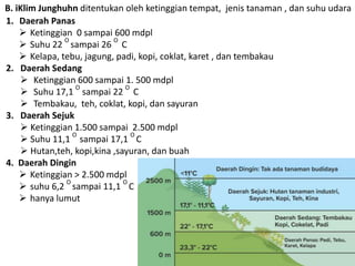 1. Daerah Panas
 Ketinggian 0 sampai 600 mdpl
 Suhu 22
O
sampai 26
O
C
 Kelapa, tebu, jagung, padi, kopi, coklat, karet , dan tembakau
2. Daerah Sedang
 Ketinggian 600 sampai 1. 500 mdpl
 Suhu 17,1
O
sampai 22
O
C
 Tembakau, teh, coklat, kopi, dan sayuran
3. Daerah Sejuk
 Ketinggian 1.500 sampai 2.500 mdpl
 Suhu 11,1
O
sampai 17,1
O
C
 Hutan,teh, kopi,kina ,sayuran, dan buah
4. Daerah Dingin
 Ketinggian > 2.500 mdpl
 suhu 6,2
O
sampai 11,1
O
C
 hanya lumut
B. iKlim Junghuhn ditentukan oleh ketinggian tempat, jenis tanaman , dan suhu udara
 
