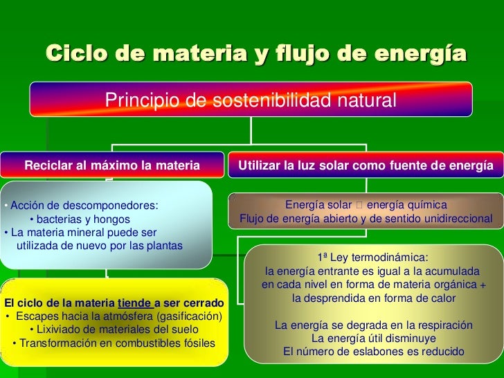 Diferencia Entre Ciclo De Materia Y Flujo De Energia