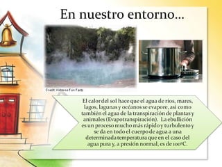 En nuestro entorno…
 