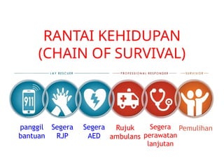 Aed Rjp Materi Bantuan Hidup Dasar dan RJP.pptx