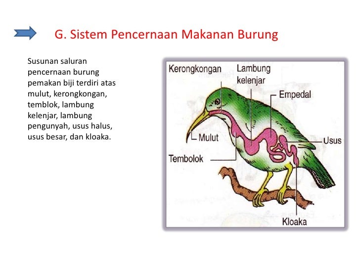 biologi dasar biologi dasar