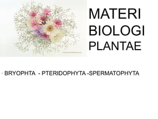 MATERI
BIOLOGI
PLANTAE
- BRYOPHTA - PTERIDOPHYTA -SPERMATOPHYTA
 