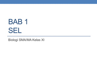 BAB 1
SEL
Biologi SMA/MA Kelas XI
 