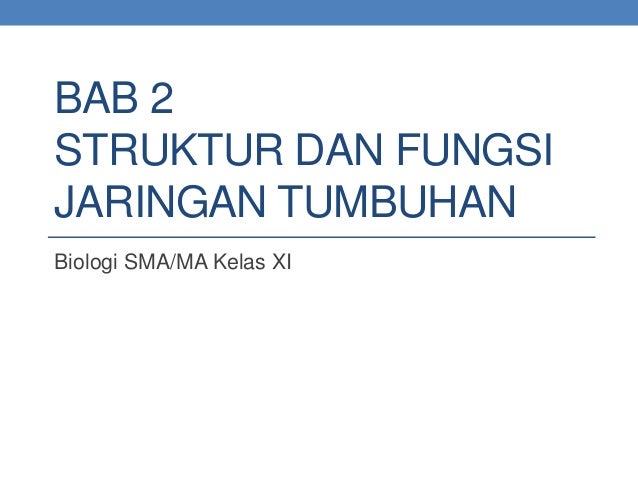 Materi Biologi X Bab 2 Struktur Dan Fungsi Tumbuhan