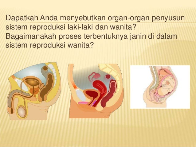 Materi biologi x ppt bab 10 fix
