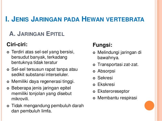 Ppt Struktur Dan Fungsi Jaringan  Hewan 