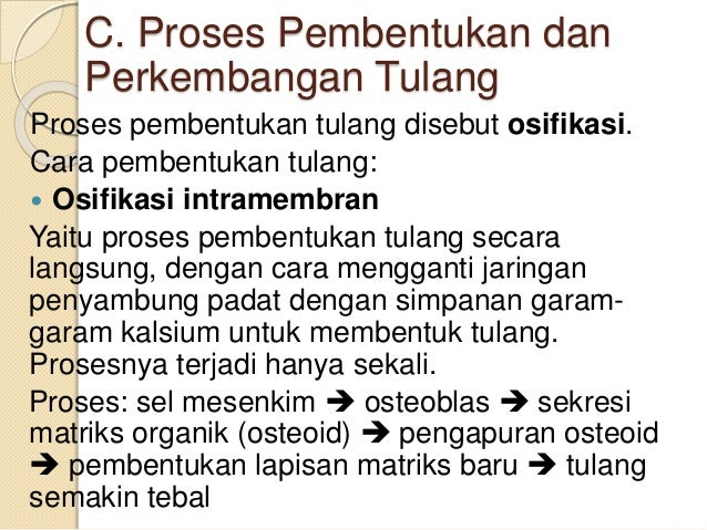 Materi biologi x ppt bab 4 fix
