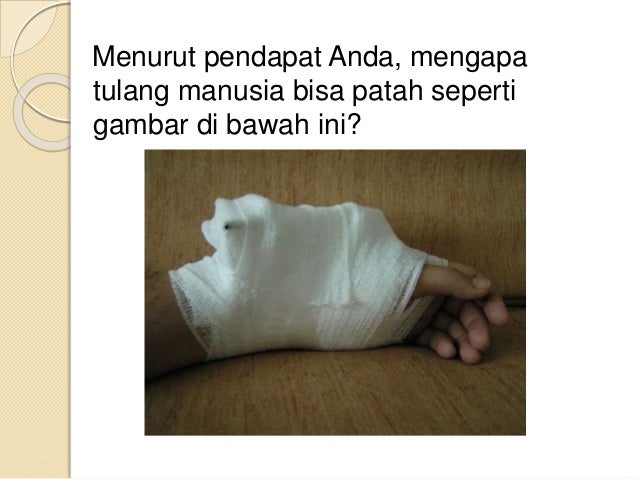 Materi Biologi X Ppt Bab 4 Fix