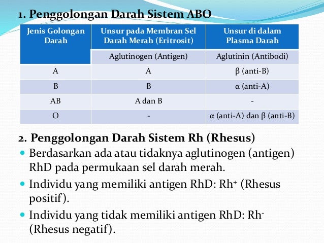 Materi biologi x ppt bab 5 fix