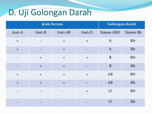 Materi biologi x ppt bab 5 fix