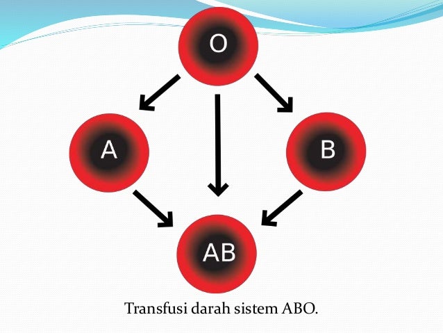 Materi biologi x ppt bab 5 fix
