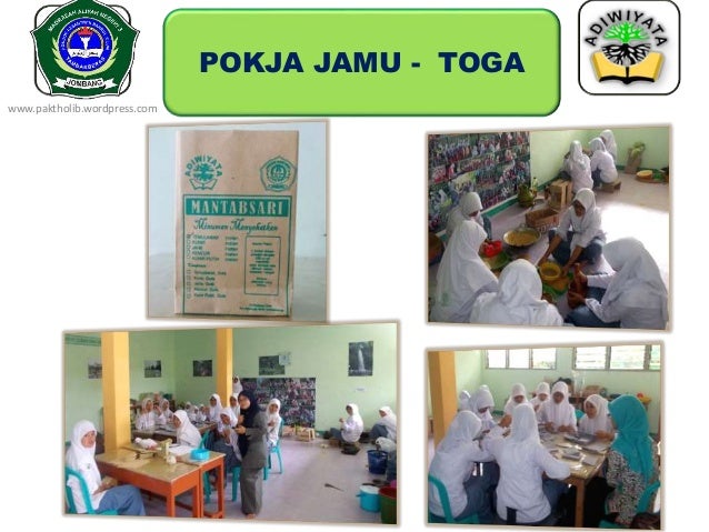 Materi Sekolah Adiwiyata