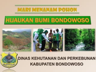 DINAS KEHUTANAN DAN PERKEBUNAN
KABUPATEN BONDOWOSO

 