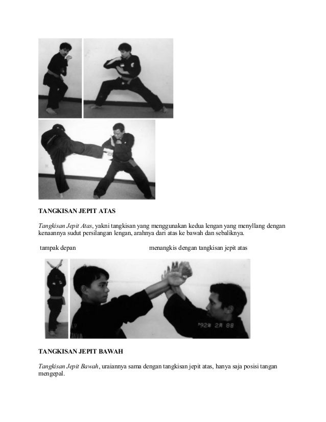 Materi Dasar Pencak Silat
