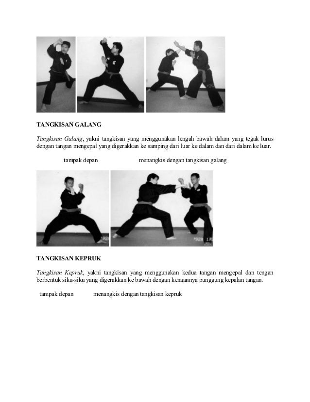 Materi Dasar Pencak Silat