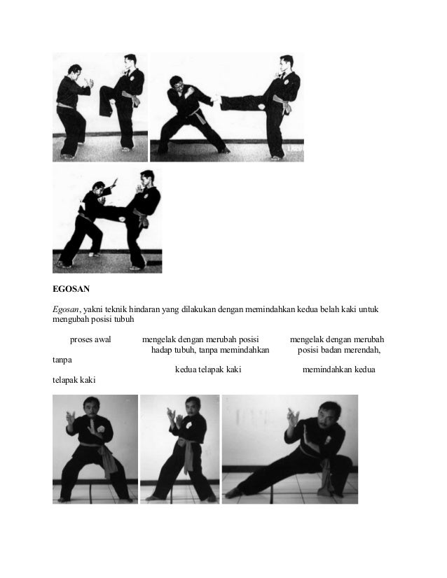 Materi Dasar Pencak Silat