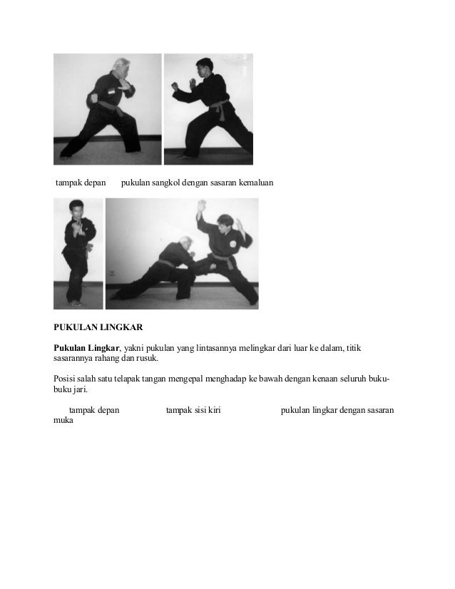 Materi Dasar Pencak Silat