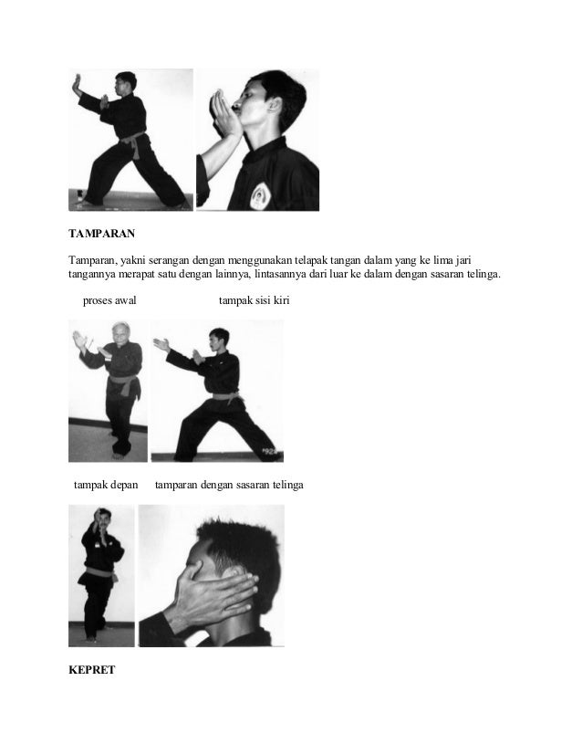 Materi Dasar Pencak Silat