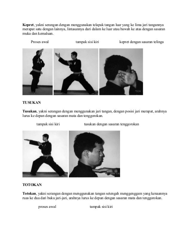 Materi Dasar Pencak Silat