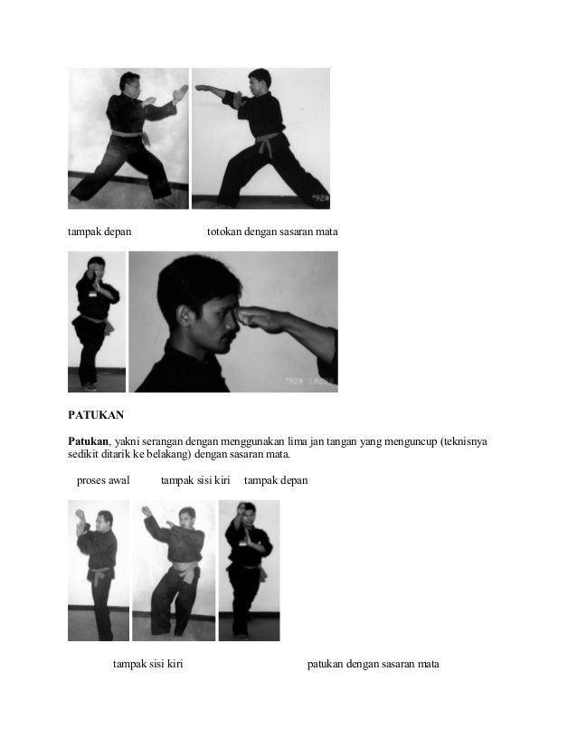Materi Dasar Pencak Silat