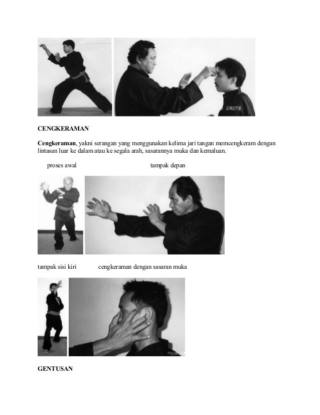 Materi Dasar Pencak Silat