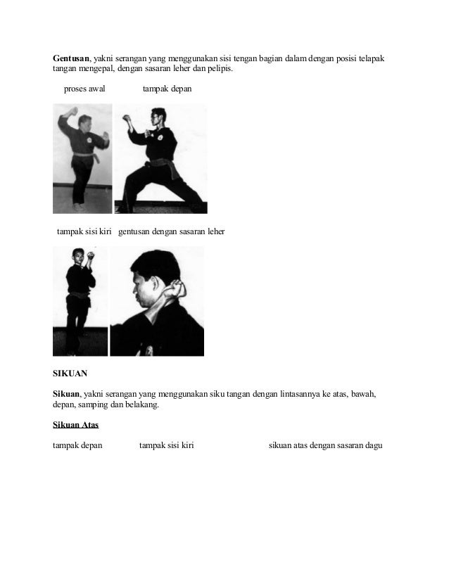 Materi Dasar Pencak Silat