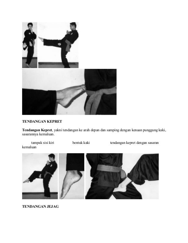 Materi Dasar Pencak Silat