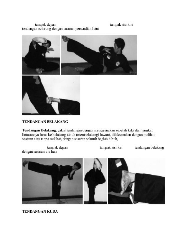 Materi Dasar Pencak Silat