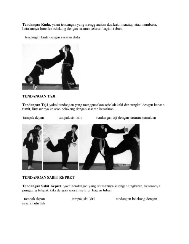 Materi Dasar Pencak Silat