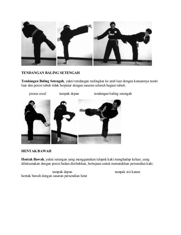 Materi Dasar Pencak Silat