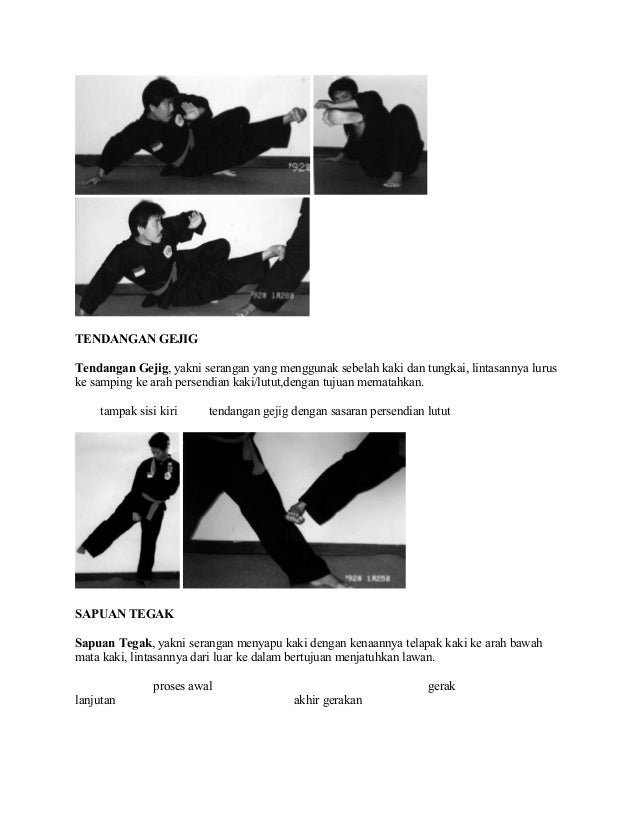 Materi Dasar Pencak Silat